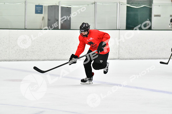240228_FCHL_C1_Mammoth_PVHI113