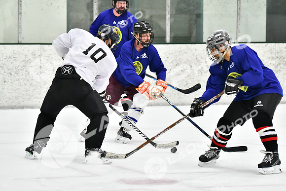 240228_FCHL_C1_Pando_Forge094