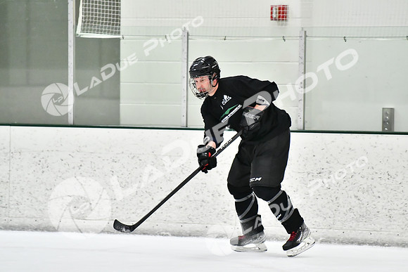 240228_FCHL_C1_Mammoth_PVHI114