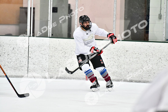 240228_FCHL_C1_Pando_Forge096