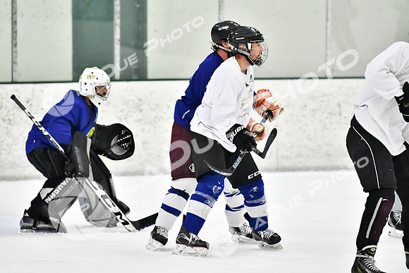 240228_FCHL_C1_Pando_Forge097