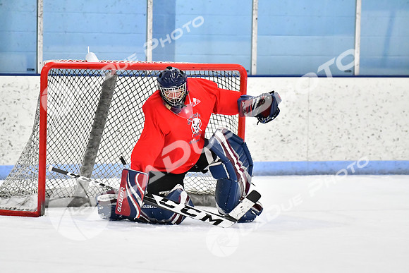 240228_FCHL_D_SticksStones_Valentes162