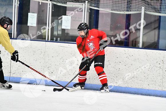 240228_FCHL_D_SticksStones_Valentes163