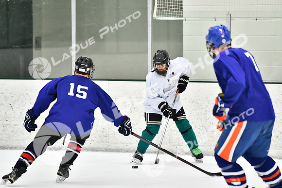 240228_FCHL_C1_Pando_Forge101