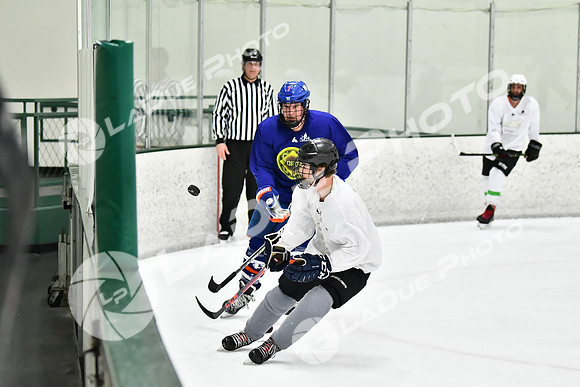 240228_FCHL_C1_Pando_Forge102