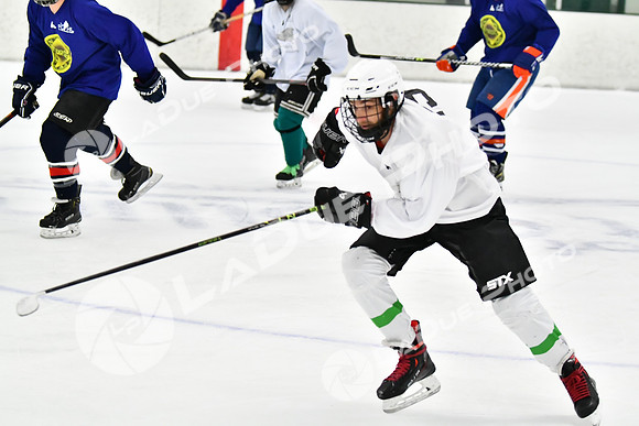 240228_FCHL_C1_Pando_Forge106