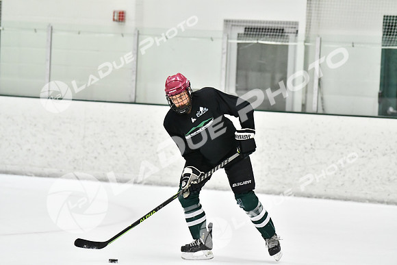 240228_FCHL_C1_Mammoth_PVHI125