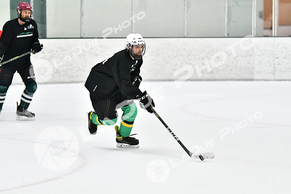 240228_FCHL_C1_Mammoth_PVHI127