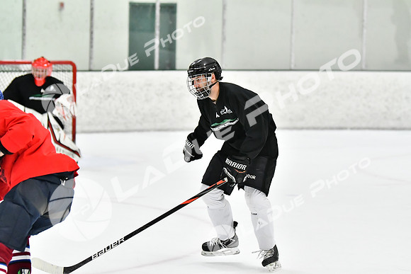 240228_FCHL_C1_Mammoth_PVHI130