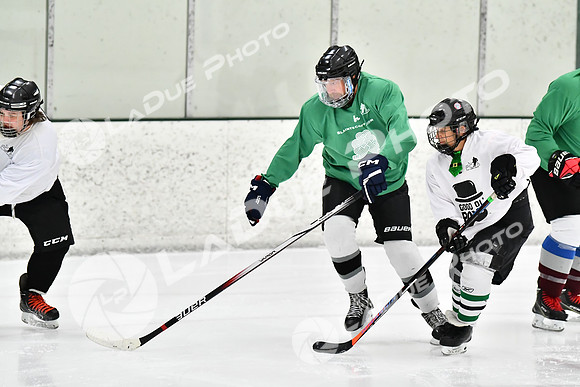 240317_FCHL_E_GoodOlBoys_Slainte008