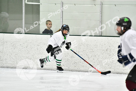 240317_FCHL_E_GoodOlBoys_Slainte033