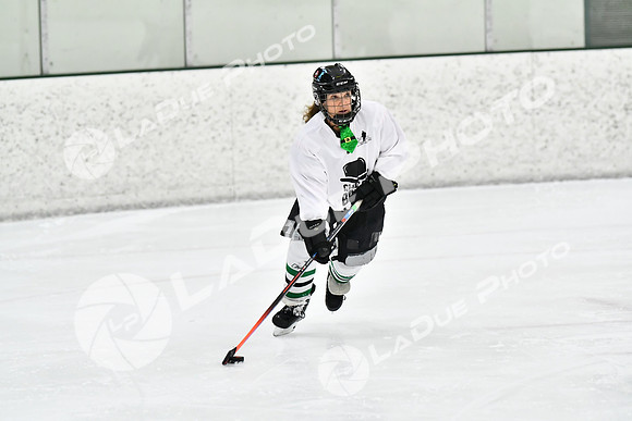 240317_FCHL_E_GoodOlBoys_Slainte043
