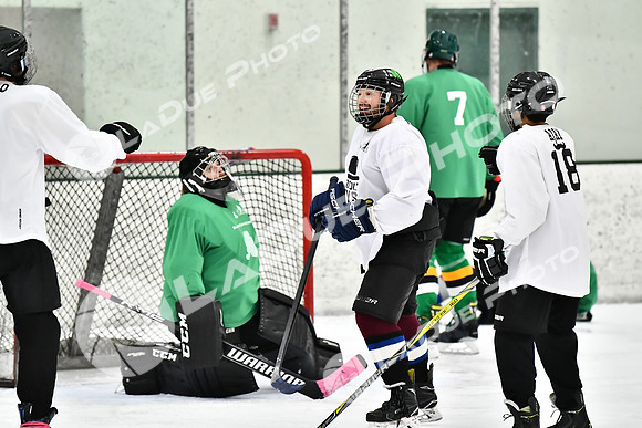 240317_FCHL_E_GoodOlBoys_Slainte079