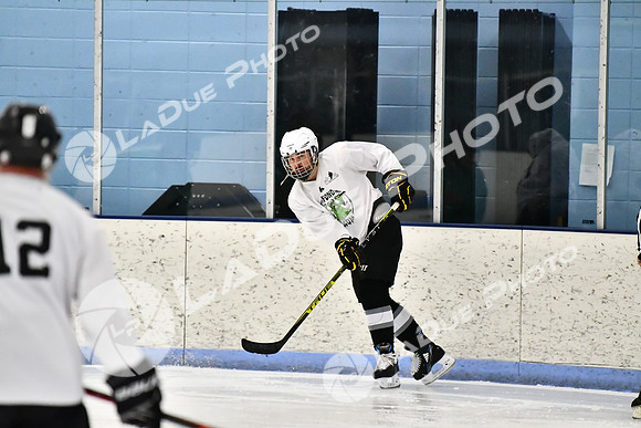 240403_FCHL_D_PondScum_PeachPit29