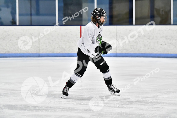 240403_FCHL_D_PondScum_PeachPit36