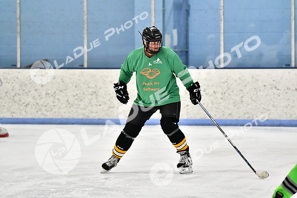 240403_FCHL_D_PondScum_PeachPit42