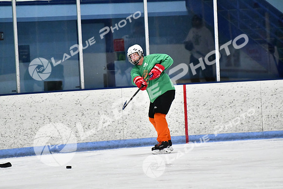 240403_FCHL_D_PondScum_PeachPit43