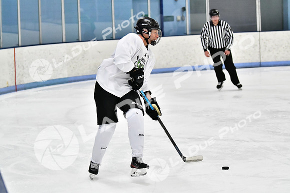 240403_FCHL_D_PondScum_PeachPit50