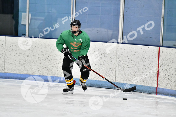240403_FCHL_D_PondScum_PeachPit52