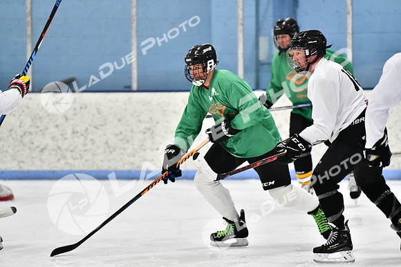 240403_FCHL_D_PondScum_PeachPit54