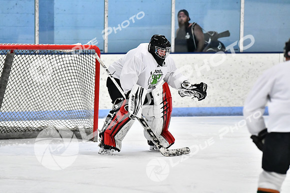 240403_FCHL_D_PondScum_PeachPit60