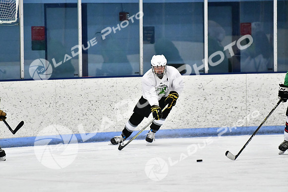 240403_FCHL_D_PondScum_PeachPit62