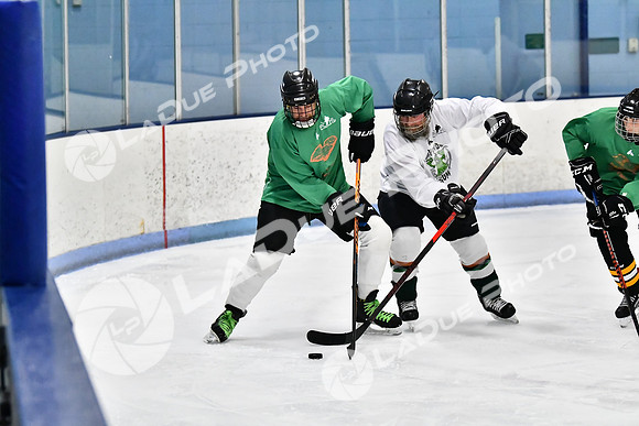 240403_FCHL_D_PondScum_PeachPit65