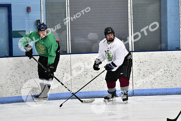 240403_FCHL_D_PondScum_PeachPit68