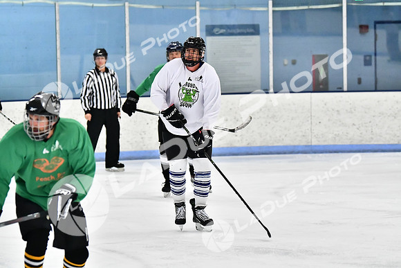 240403_FCHL_D_PondScum_PeachPit72
