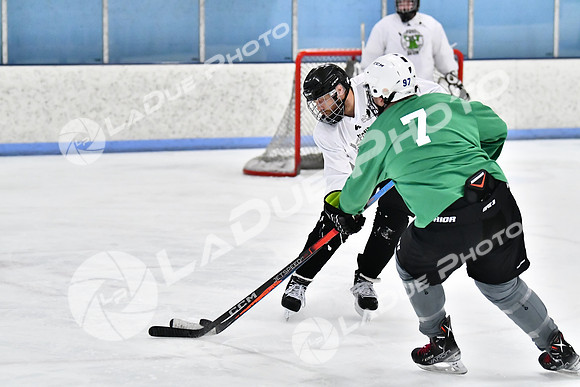 240403_FCHL_D_PondScum_PeachPit81