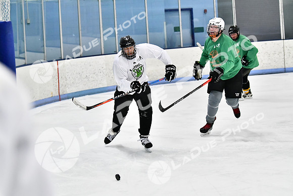 240403_FCHL_D_PondScum_PeachPit82