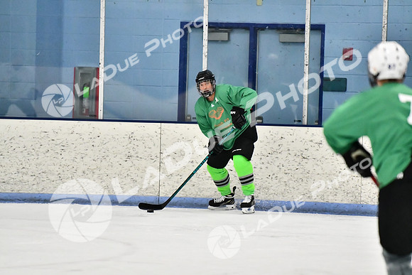 240403_FCHL_D_PondScum_PeachPit84