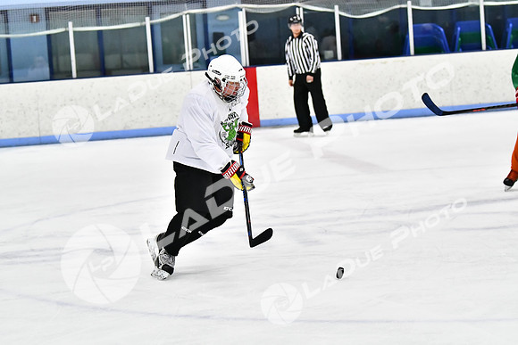 240403_FCHL_D_PondScum_PeachPit85