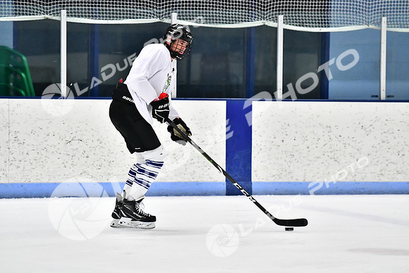 240403_FCHL_D_PondScum_PeachPit91