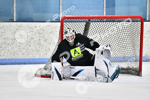 240403_FCHL_D_PondScum_PeachPit96