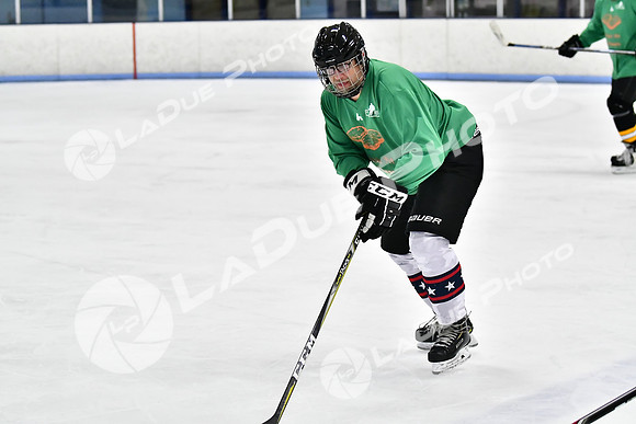 240403_FCHL_D_PondScum_PeachPit95