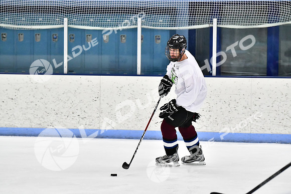 240403_FCHL_D_PondScum_PeachPit99