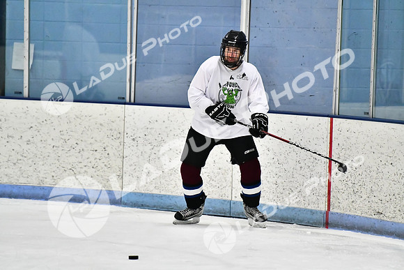 240403_FCHL_D_PondScum_PeachPit97