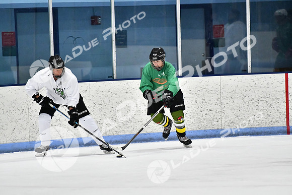 240403_FCHL_D_PondScum_PeachPit105