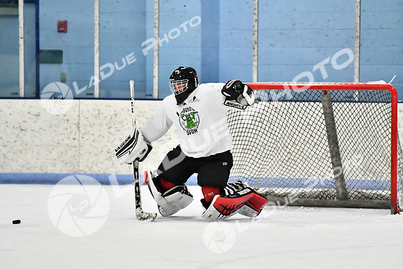 240403_FCHL_D_PondScum_PeachPit108