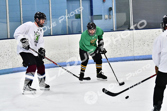 240403_FCHL_D_PondScum_PeachPit117