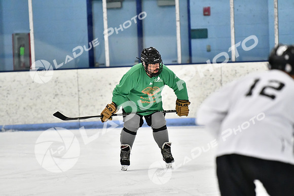 240403_FCHL_D_PondScum_PeachPit53