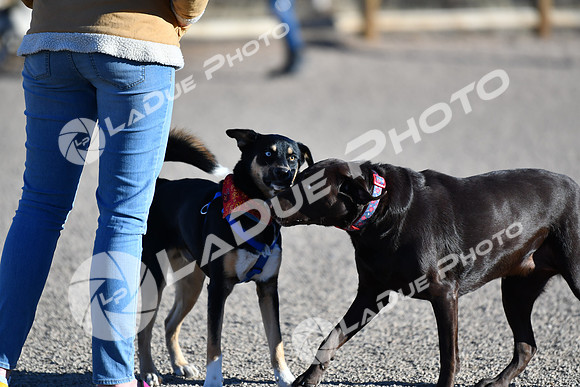 210118_SpringCanyonDogPark020