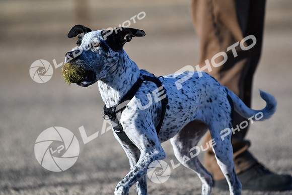 210118_SpringCanyonDogPark154