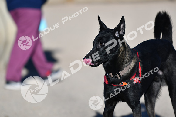 210118_SpringCanyonDogPark204