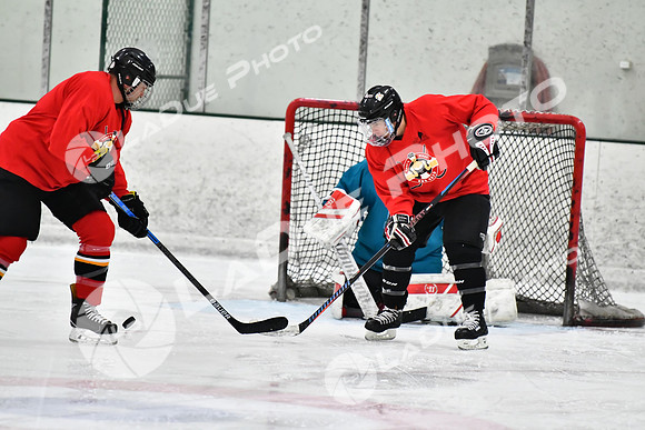 220328_FCHL_E_LimeTwist_TWSS031