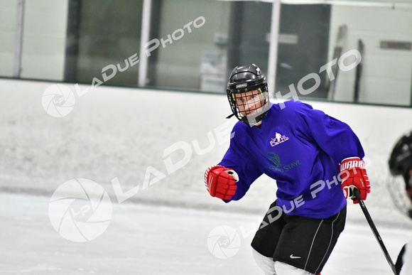 220403_FCHL_C2_CrookedStave_Icemen014