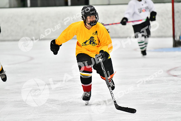 240820FCHL_W_InclineCider_PlayItAgain45