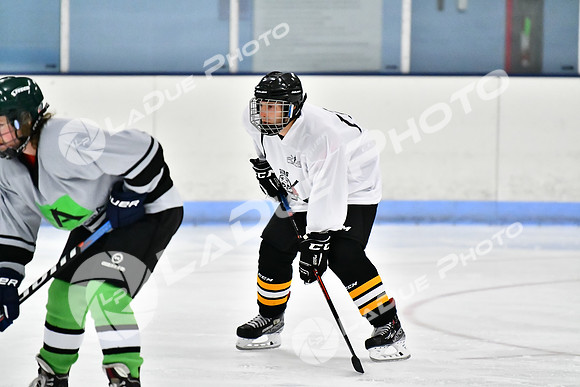 240828FCHL_D_SkatefulDead_Antinora35