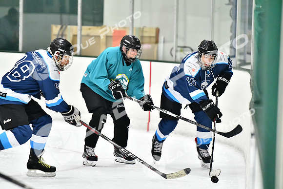 240825FCHL_E_BuschLeague_JurassicPuck73